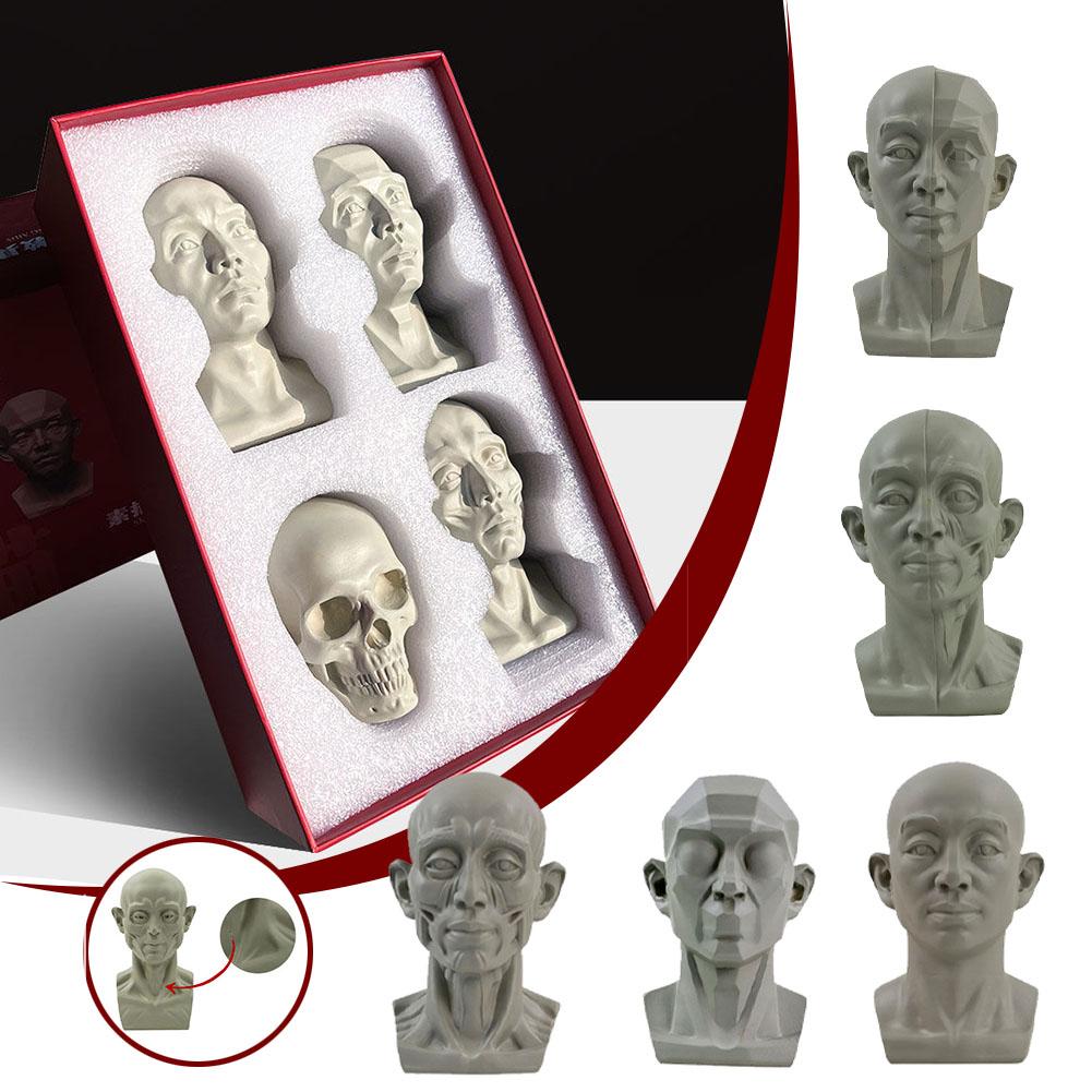 Retrato de yeso artístico, mat - Resin Art Learning reseña y precio